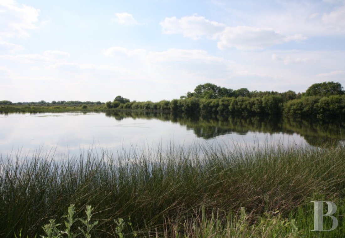 hunting grounds for sale France center val de loire   - 7