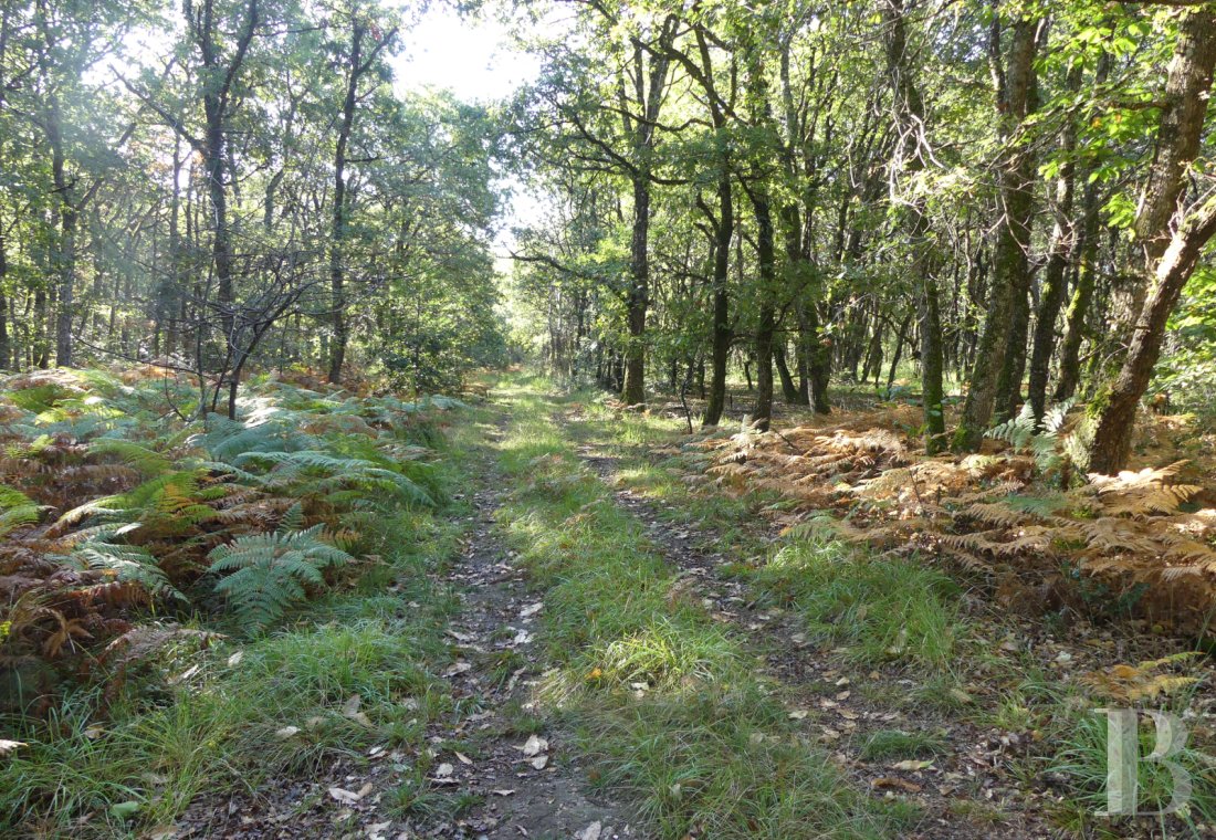 hunting grounds for sale France center val de loire   - 6