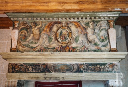 chateaux a vendre rhones alpes   - 7