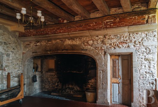 chateaux a vendre rhones alpes   - 5