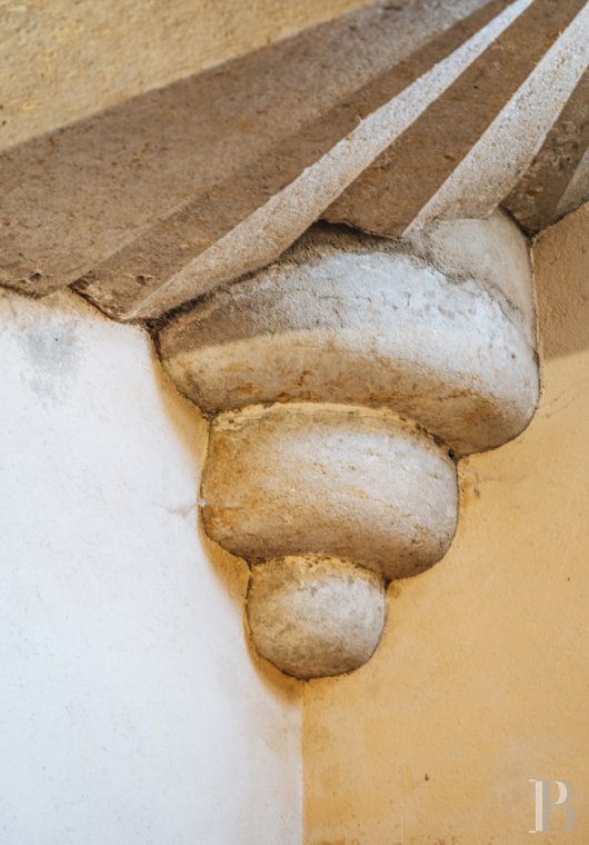chateaux a vendre rhones alpes   - 11