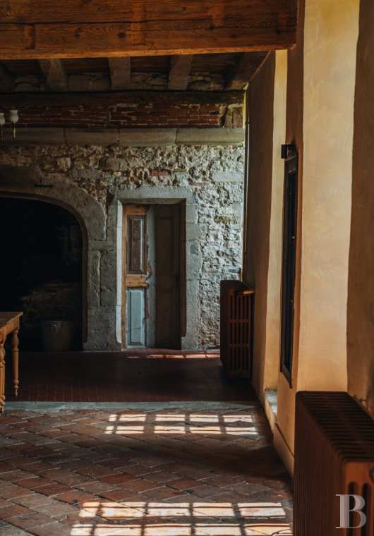 chateaux a vendre rhones alpes   - 8