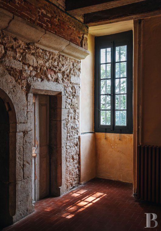 chateaux a vendre rhones alpes   - 4