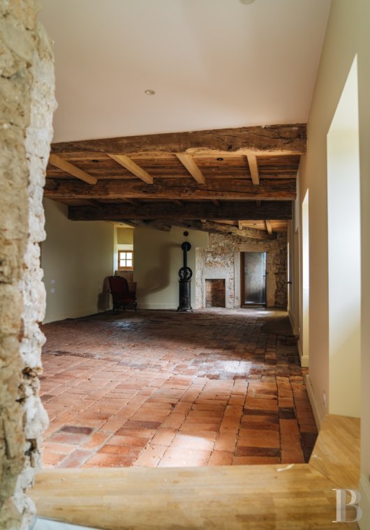chateaux a vendre rhones alpes   - 13