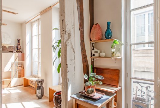 appartements a vendre paris   - 4