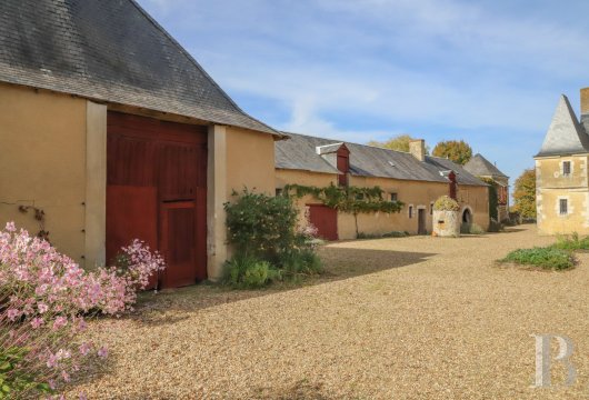 France mansions for sale center val de loire   - 17