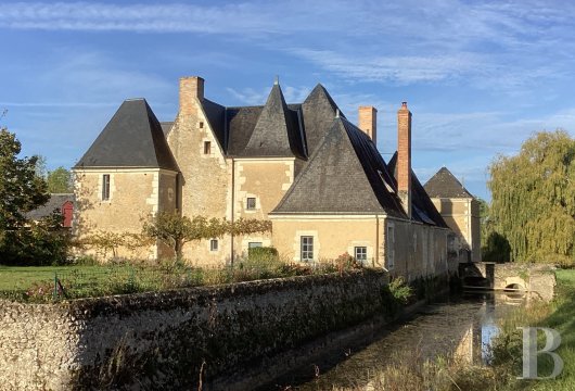 France mansions for sale center val de loire   - 2