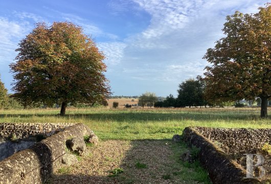 France mansions for sale center val de loire   - 18