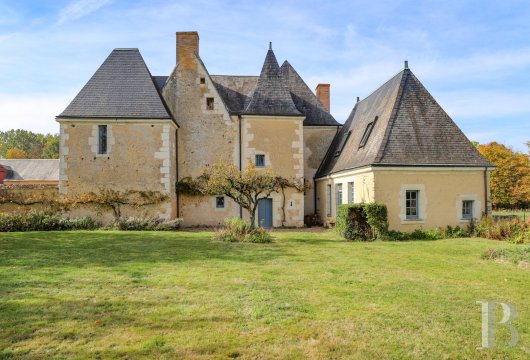 France mansions for sale center val de loire   - 4