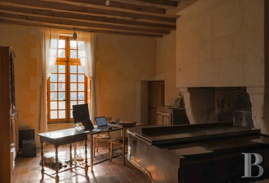 France mansions for sale center val de loire   - 12