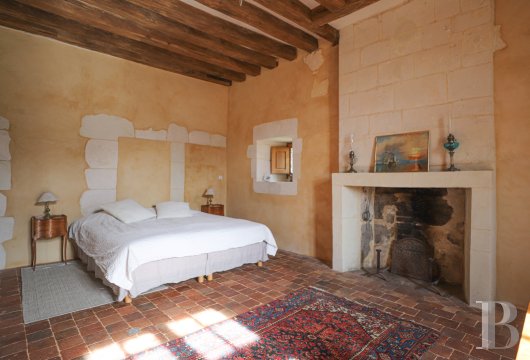 France mansions for sale center val de loire   - 13