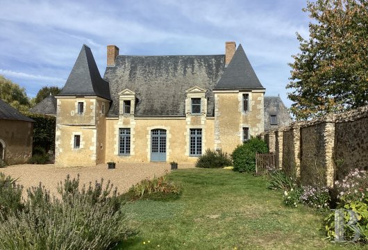 France mansions for sale center val de loire   - 7