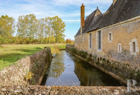 France mansions for sale center val de loire   - 19