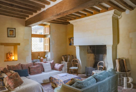 France mansions for sale center val de loire   - 9