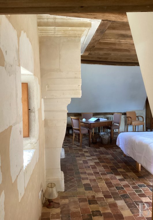 France mansions for sale center val de loire   - 15