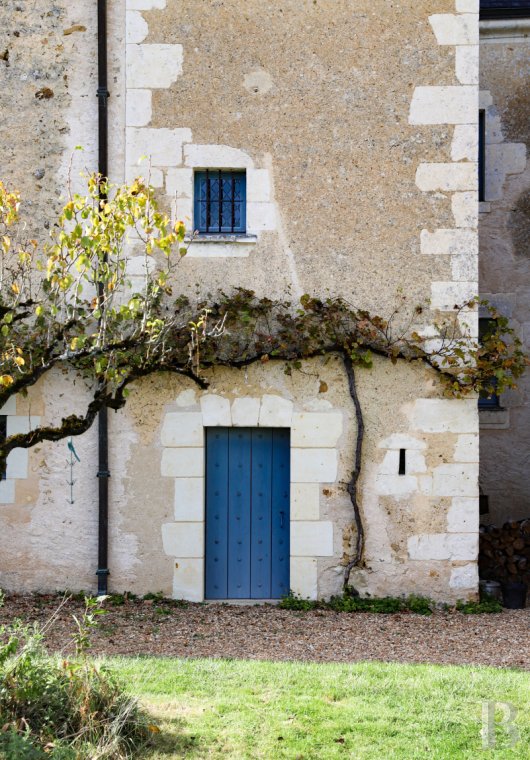 France mansions for sale center val de loire   - 6