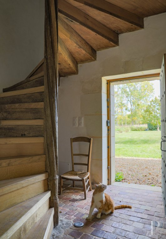 France mansions for sale center val de loire   - 8