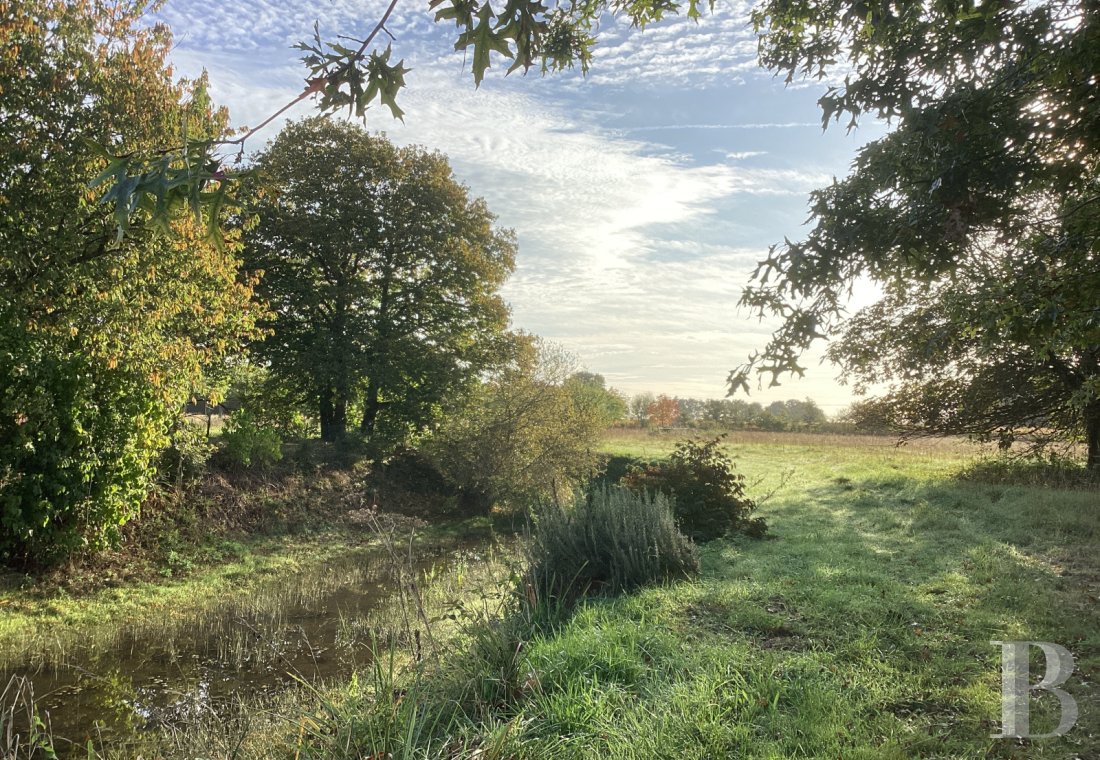 France mansions for sale center val de loire   - 22