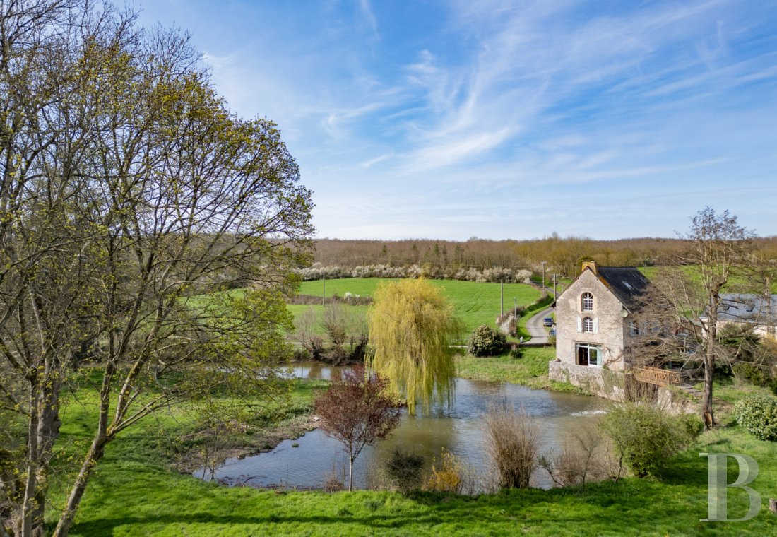 moulins a vendre pays de loire   - 14