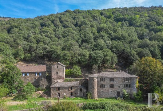 languedoc-roussillon - A castle and its feudal keep with a 30-hectare estate in the heart  of the Cévennes national park, in the south of Lozère
