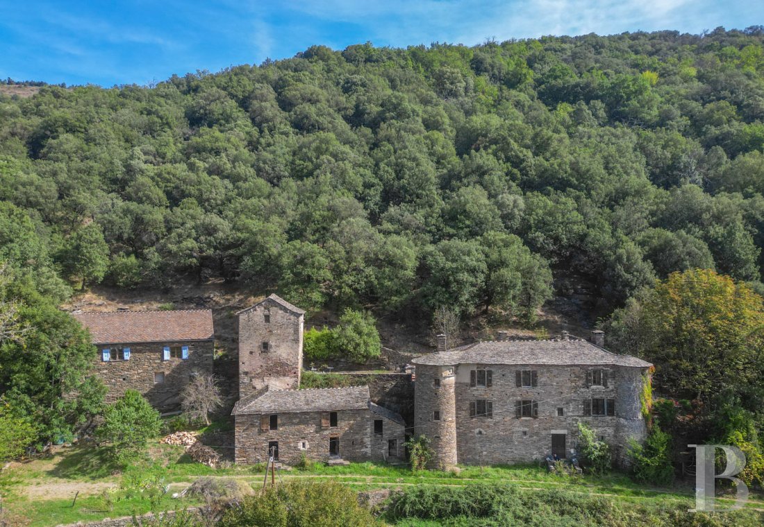 chateaux a vendre languedoc roussillon   - 1