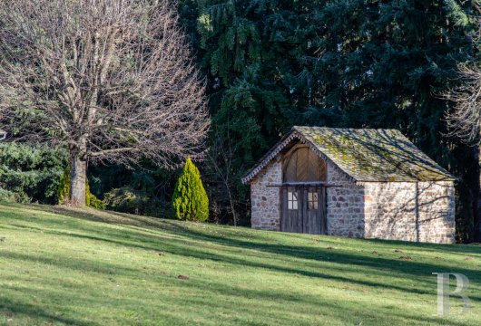 chateaux a vendre auvergne   - 12