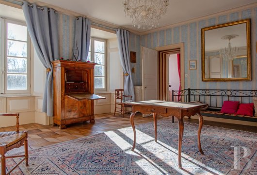 chateaux a vendre auvergne   - 10