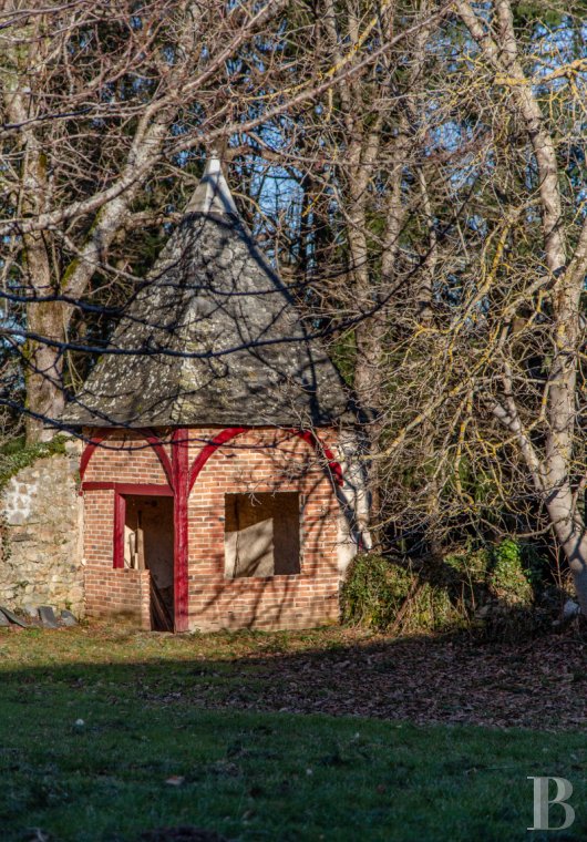 chateaux a vendre auvergne   - 13