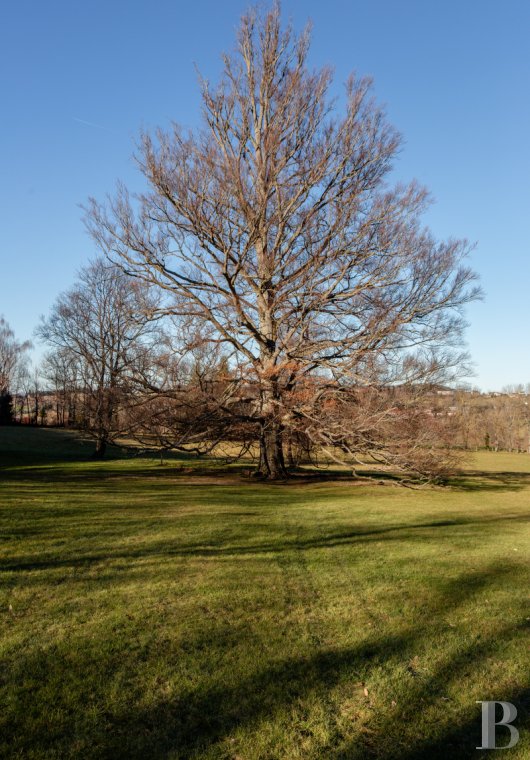 chateaux a vendre auvergne   - 14