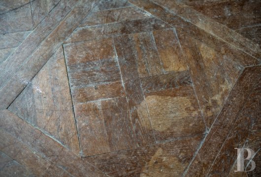 chateaux for sale France midi pyrenees   - 13