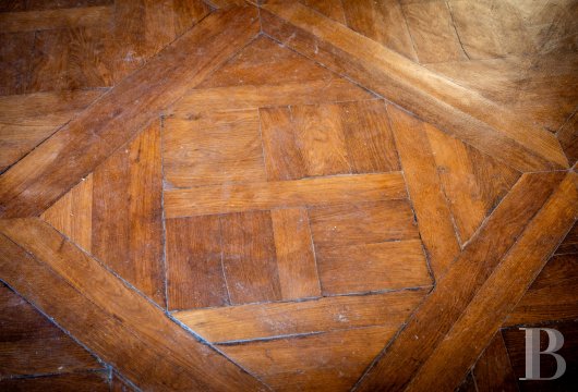 chateaux a vendre midi pyrenees   - 10