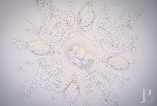 chateaux a vendre midi pyrenees   - 11