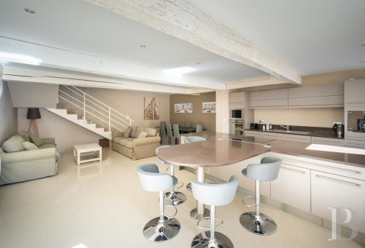 chateaux a vendre midi pyrenees   - 19