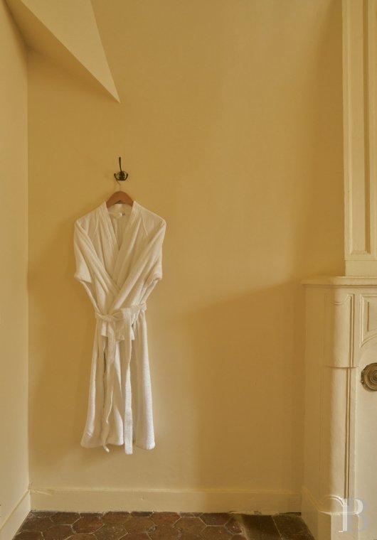 Dans le Val de Loire, près de Sancerre, un château du 18e siècle au milieu des vignes - photo  n°21