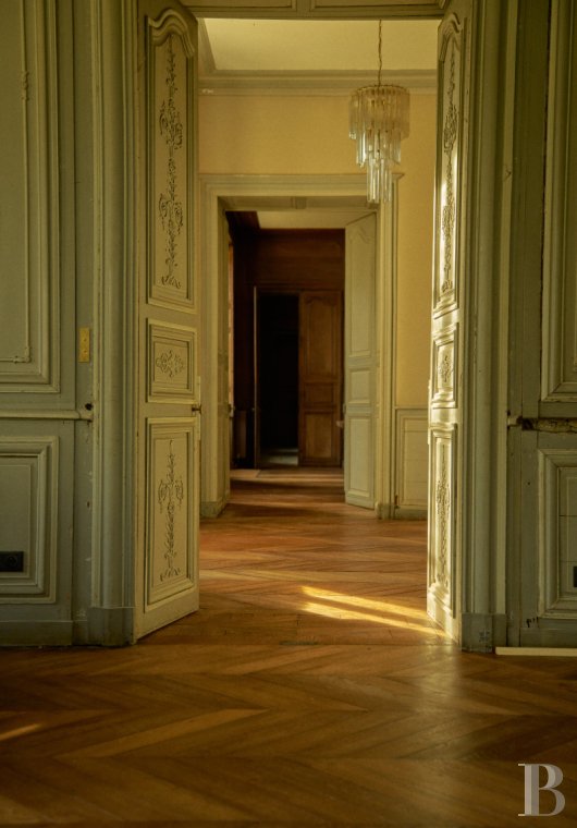 Dans le Val de Loire, près de Sancerre, un château du 18e siècle au milieu des vignes - photo  n°38