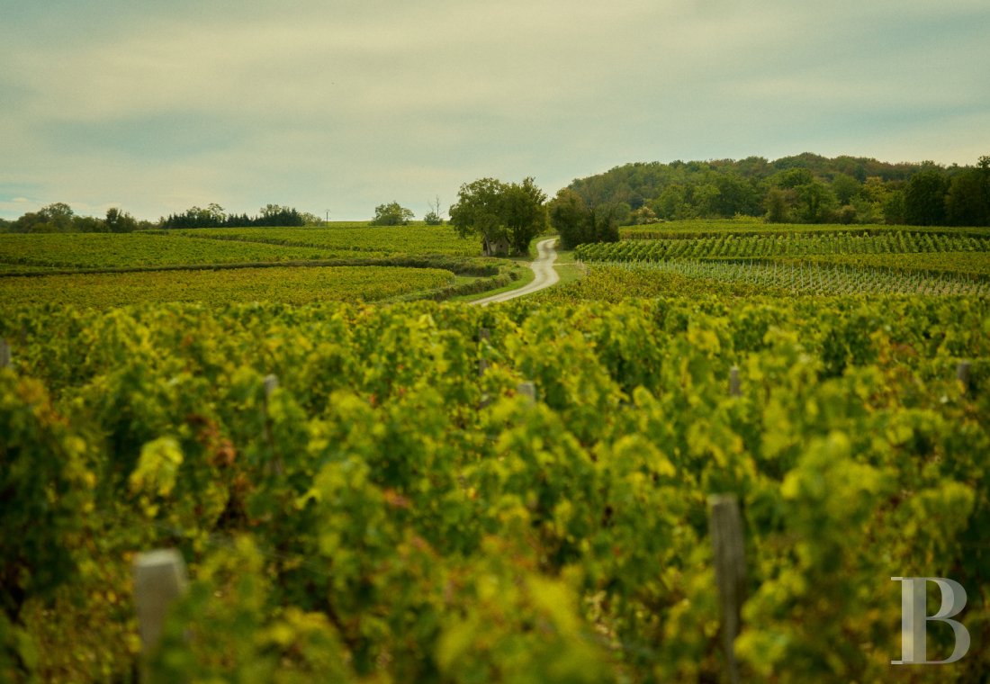 Dans le Val de Loire, près de Sancerre, un château du 18e siècle au milieu des vignes - photo  n°42