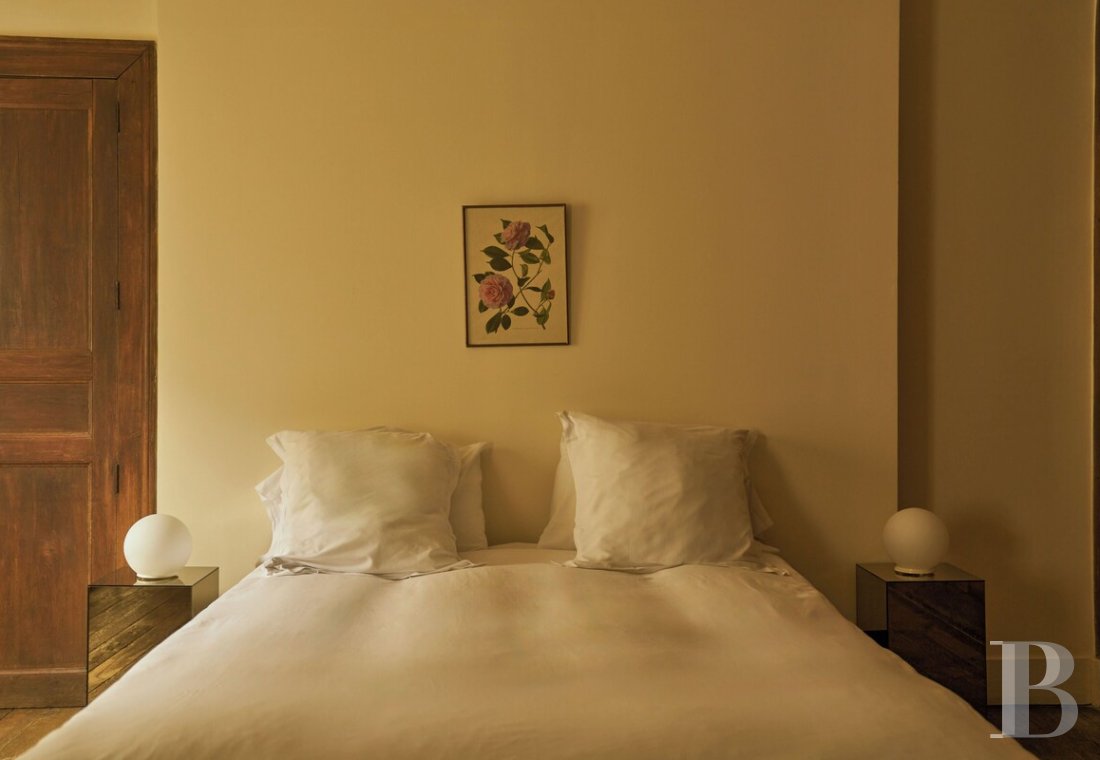 Dans le Val de Loire, près de Sancerre, un château du 18e siècle au milieu des vignes - photo  n°27