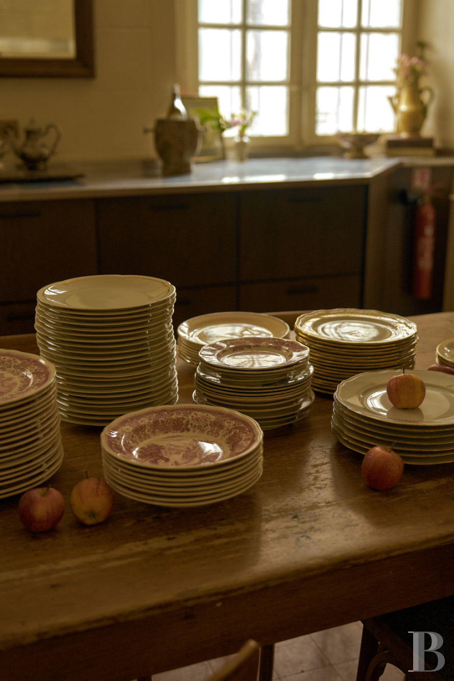 Dans le Val de Loire, près de Sancerre, un château du 18e siècle au milieu des vignes - photo  n°13
