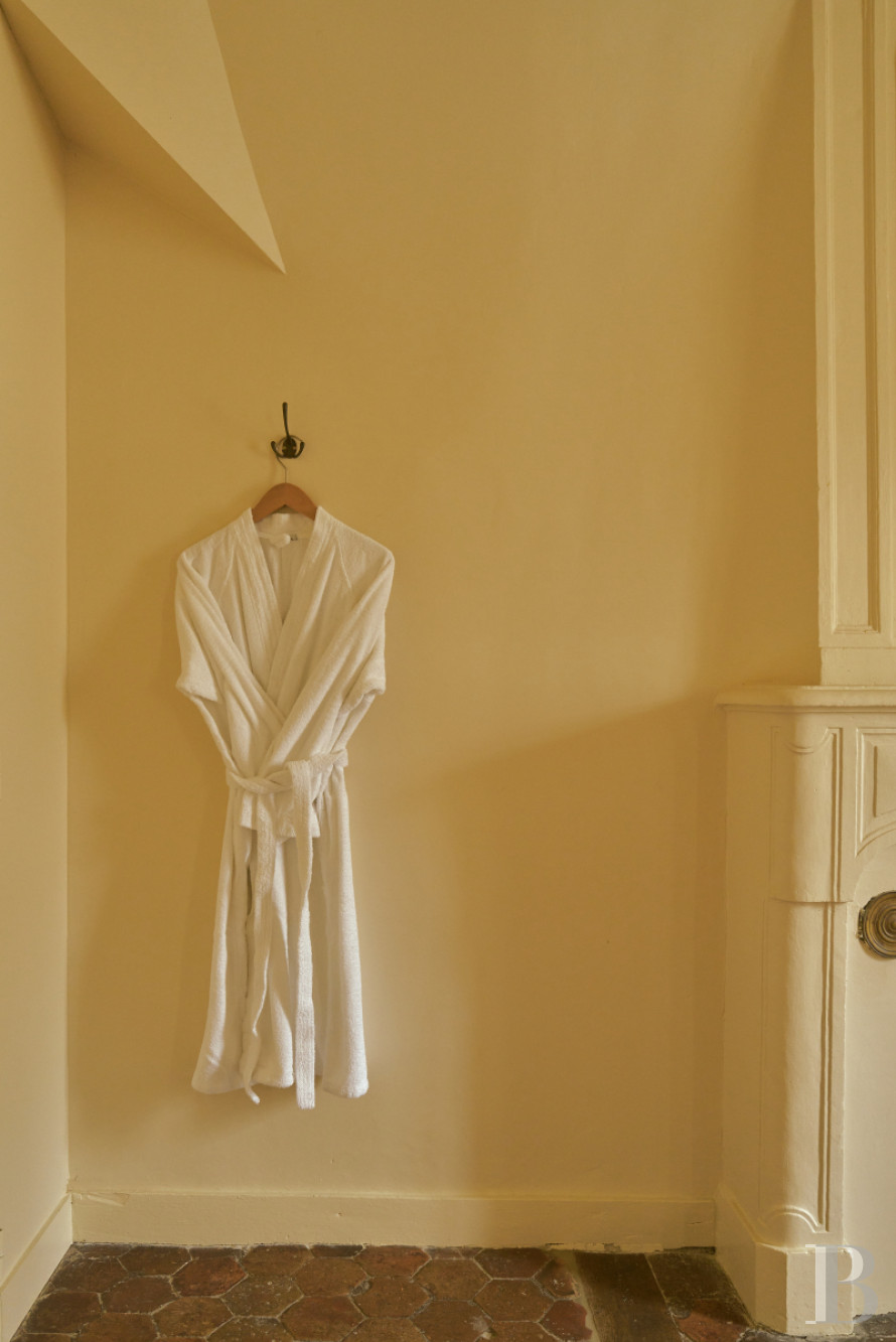 Dans le Val de Loire, près de Sancerre, un château du 18e siècle au milieu des vignes - photo  n°21