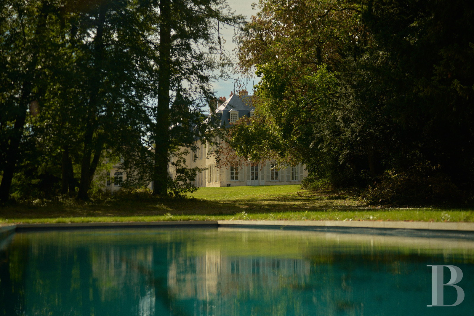 Dans le Val de Loire, près de Sancerre, un château du 18e siècle au milieu des vignes - photo  n°40