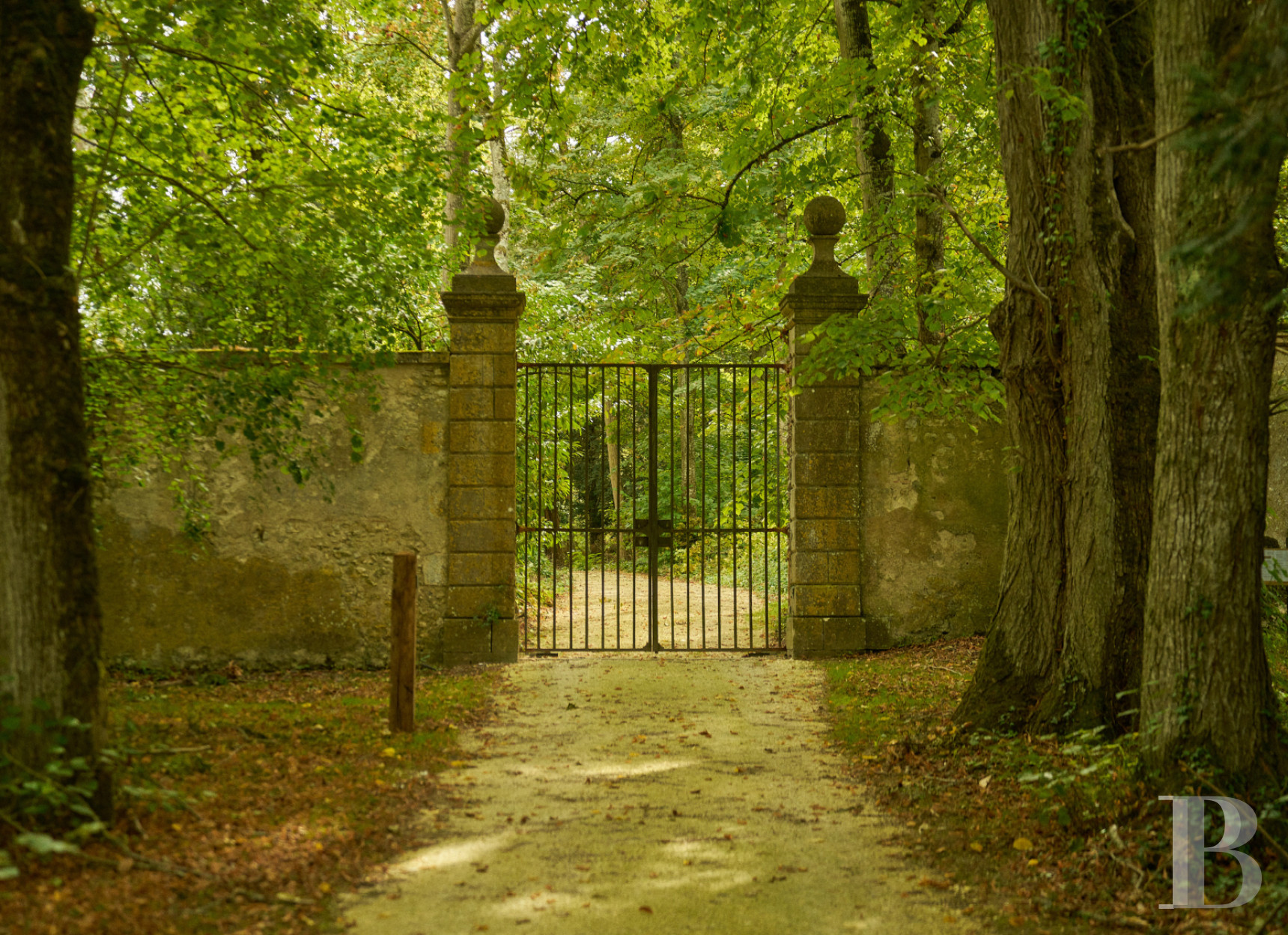 Dans le Val de Loire, près de Sancerre, un château du 18e siècle au milieu des vignes - photo  n°41