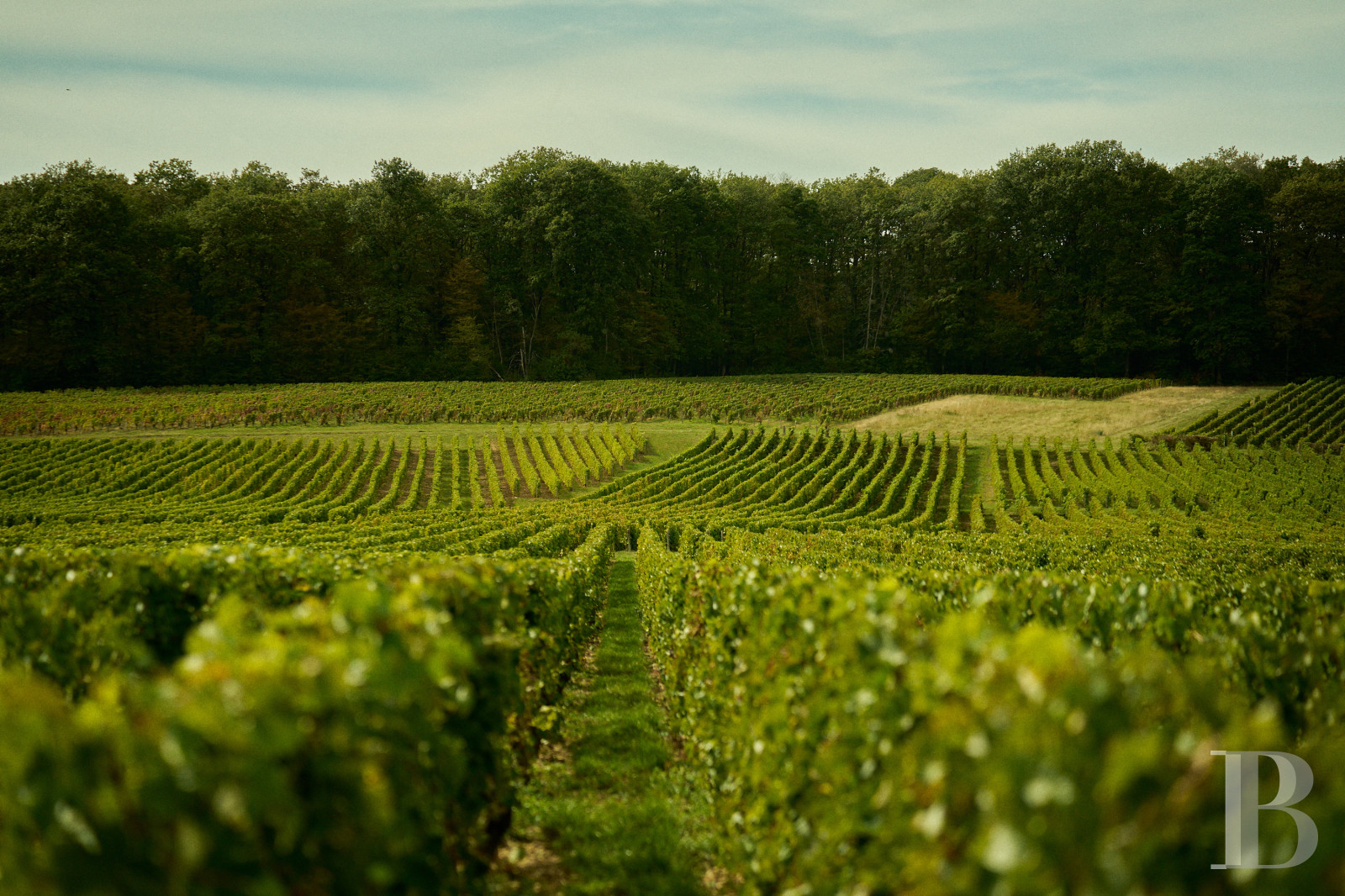 Dans le Val de Loire, près de Sancerre, un château du 18e siècle au milieu des vignes - photo  n°3