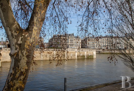 paris -  Sur un quai de la Seine face à Notre-Dame
 un bien rare dans la cour d'honneur d'un bâtiment historique 