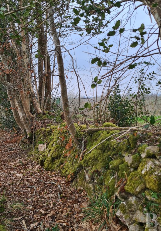 ruines a vendre bretagne   - 18