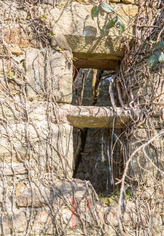 ruines a vendre bretagne   - 3