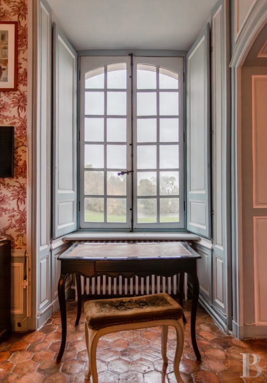 chateaux a vendre ile de france   - 21