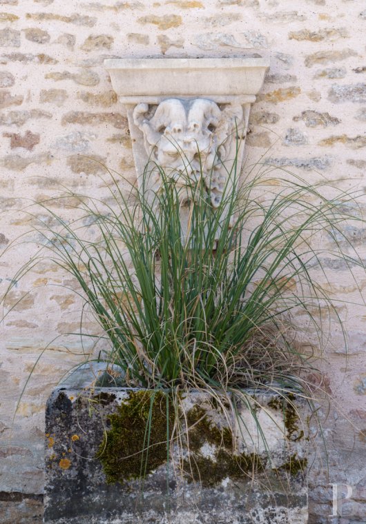 A village house opening out onto the countryside between Beaune and Meursault in the Côte d'Or  - photo  n°8