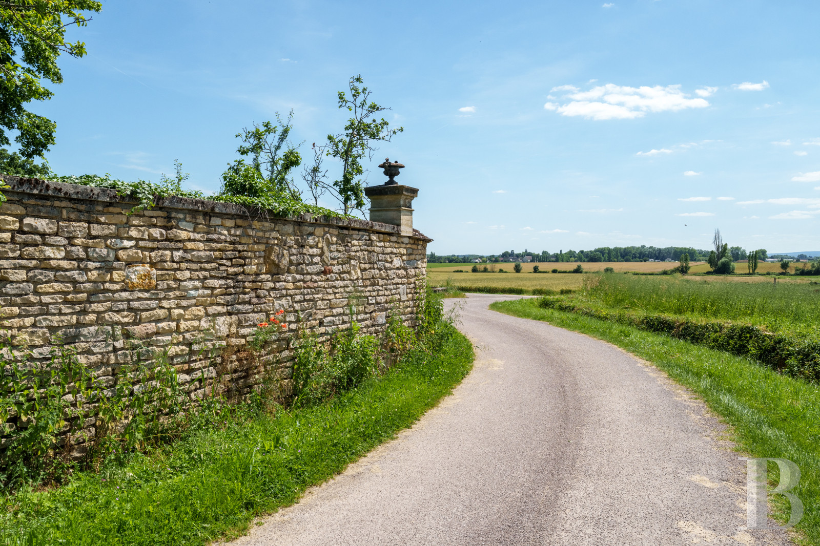 A village house opening out onto the countryside between Beaune and Meursault in the Côte d'Or  - photo  n°36