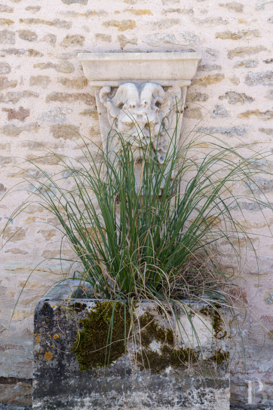 A village house opening out onto the countryside between Beaune and Meursault in the Côte d'Or  - photo  n°8