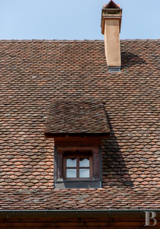 castles for sale France alsace   - 4